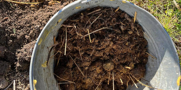 organické hnojivo hnůj