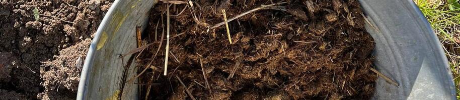 organické hnojivo hnůj