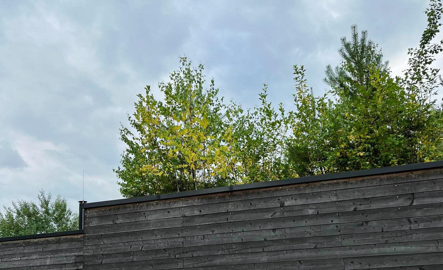 intenzivní zelená střecha