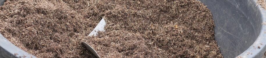 bezrašelinový substrát