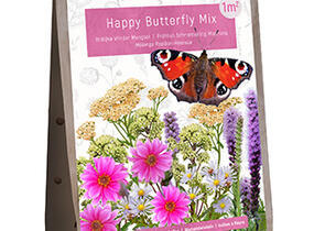 Cibuloviny Mix Happy Butterfly Mix - Happy Butterfly Mix