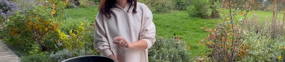 cibule do květináče