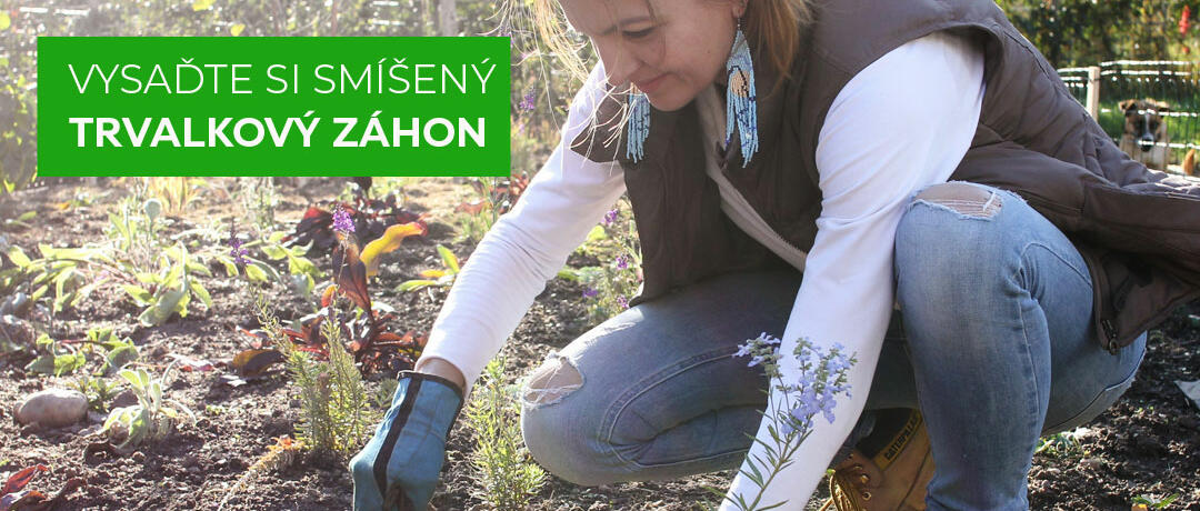 FB_trvalkové-záhony