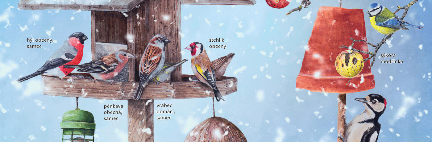 plakat-410x292-mm-hodinka-hometisk150-2