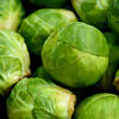 Kapusta růžičková 'Dolores F1' - Brassica oleracea var.gemifera 'Dolores F1'