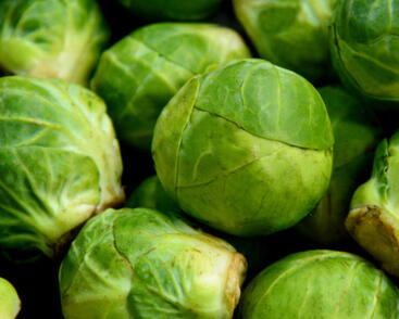 Kapusta růžičková 'Dolores F1'