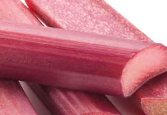 Reveň rebarbora 'Sanvitos Red' - Rheum rhabarbarum 'Sanvitos Red'