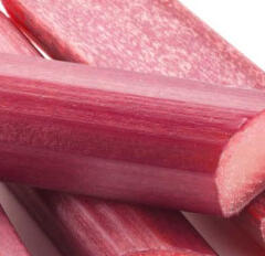 Reveň rebarbora 'Sanvitos Red' - Rheum rhabarbarum 'Sanvitos Red'