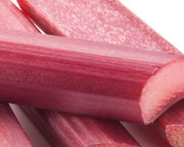 Reveň rebarbora 'Sanvitos Red'