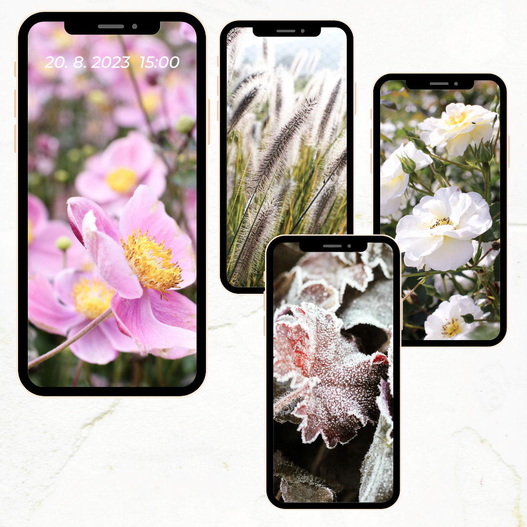 Tapety na mobilní telefon