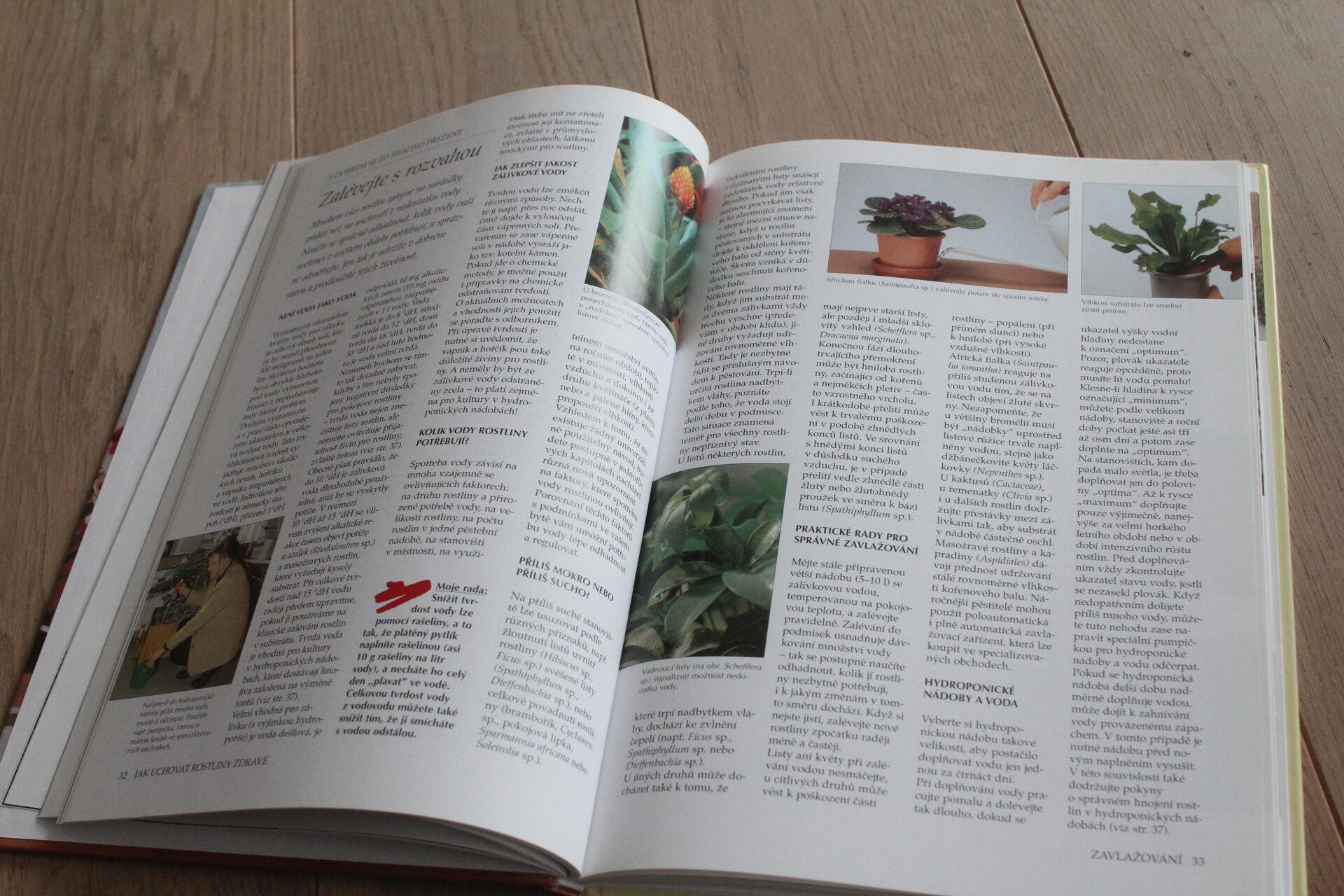 Lékař pokojových rostlin