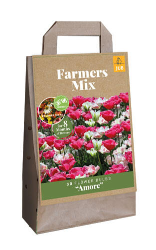 Tulipán  Farmer's Mix 'Amore' - Tulipa Farmer's Mix 'Amore'