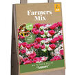 Tulipán Farmer's Mix 'Amore' - Tulipa Farmer's Mix 'Amore'