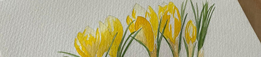 332536501_591125383057564_5072409071556219050_n