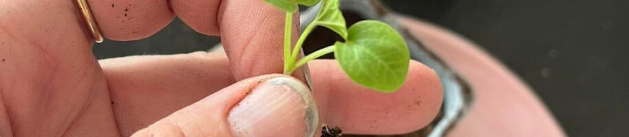 340120932_1939938436350526_2715337224207541202_n