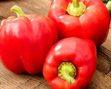 Paprika k rychlení 'Priscilla' F1