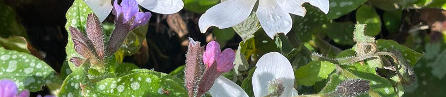 340344500_609685217441649_5421665070244118117_n