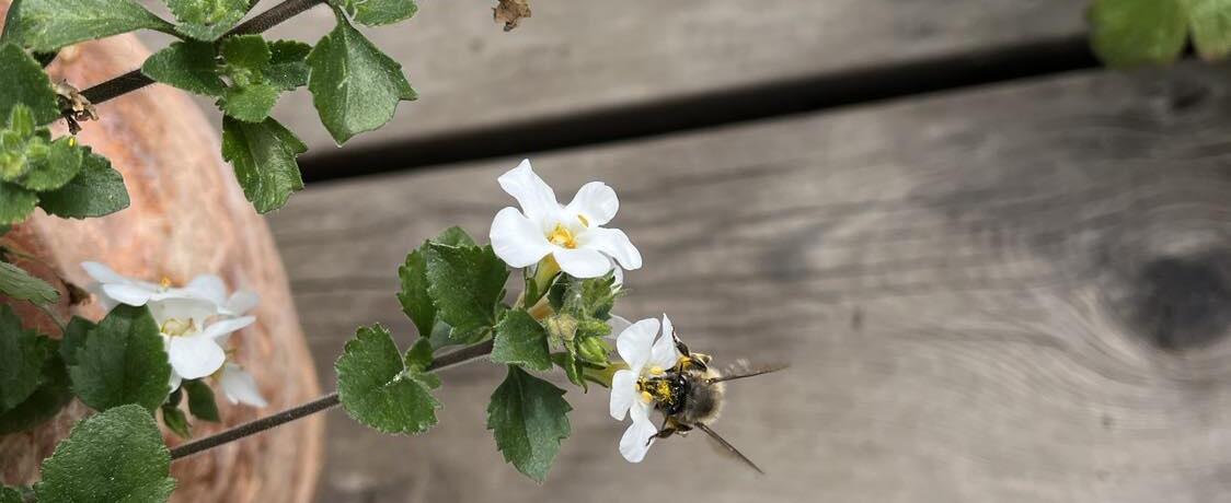 348361338_3433684366849613_4600286135955654963_n