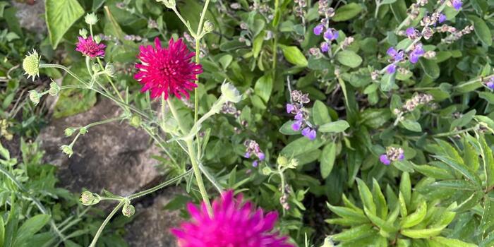 350380425_696030685890855_4752786992116337125_n