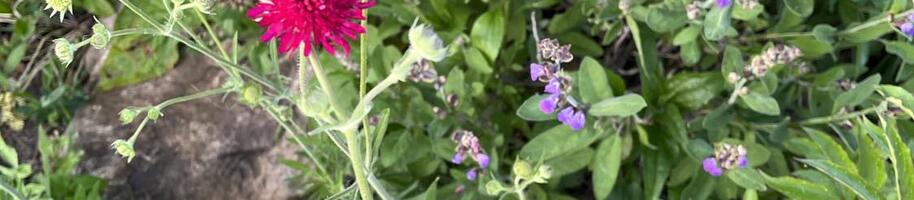 350380425_696030685890855_4752786992116337125_n