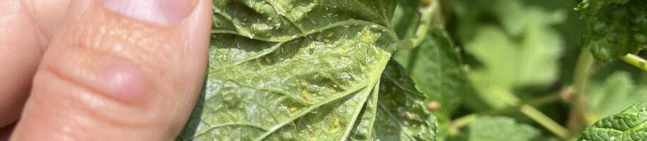 345418422_618185110275831_2760746517260297094_n