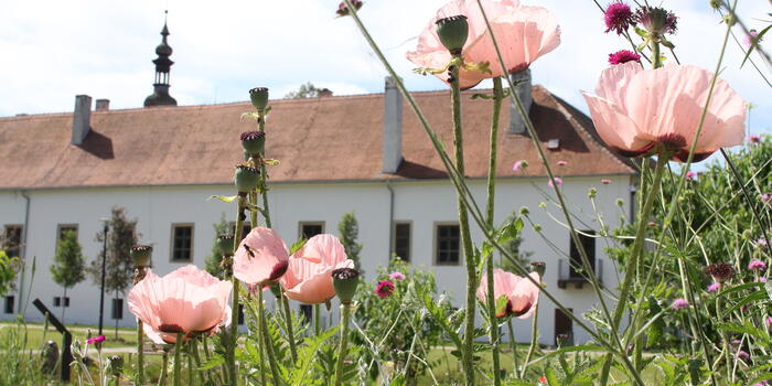 Zámecký park a zahrada v Oslavanech