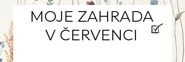 seznam úkolů na červenec