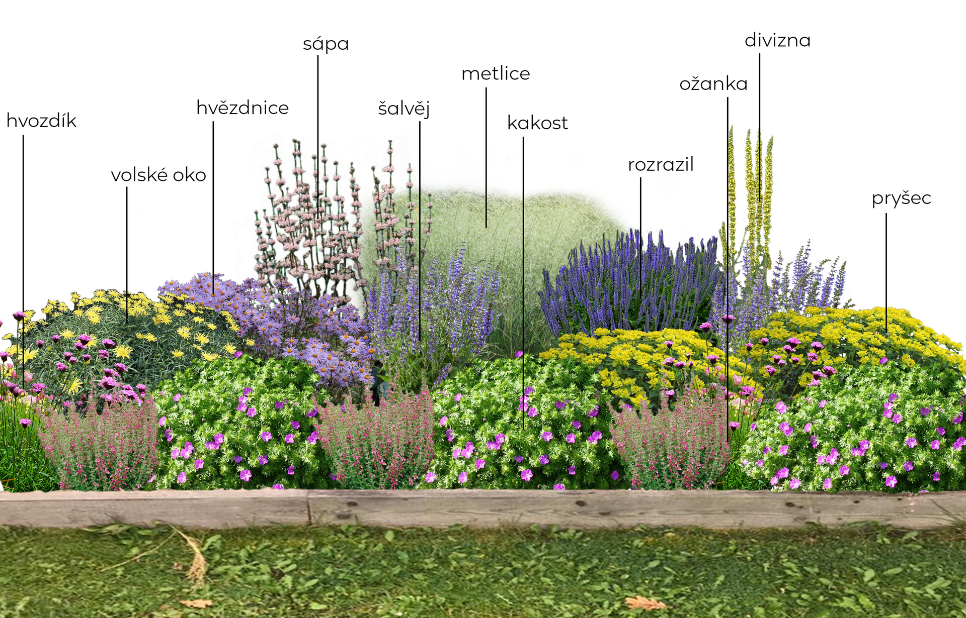 Trvalkový záhon na slunce