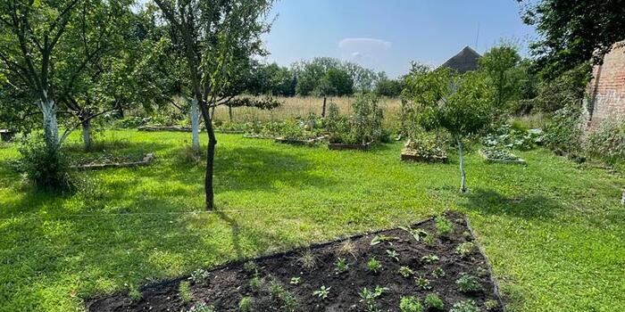 výsadba trvalkového záhonu