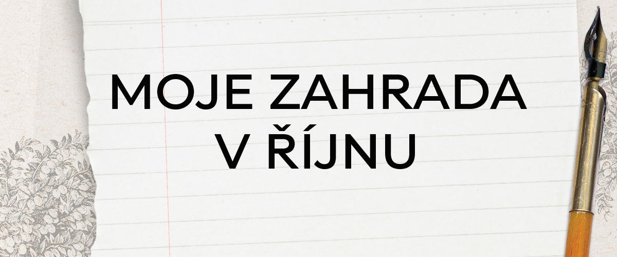seznam prací na říjen