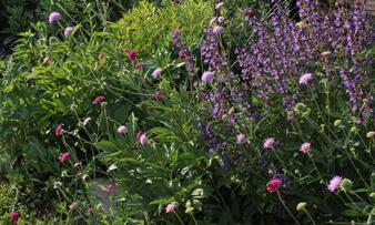 IMG_7862.JPG