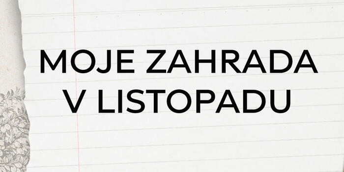 HEADLINE-LISTOPAD