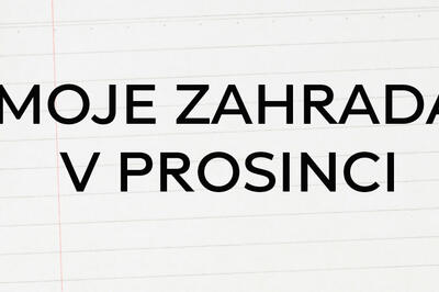 PROSINEC-HEADLINE