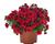 Minipetúnie, Million Bells 'Aloha Double Red'