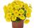Petúnie 'Potunia Canary Yellow'