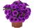 Petúnie 'Potunia Picola Lilac'