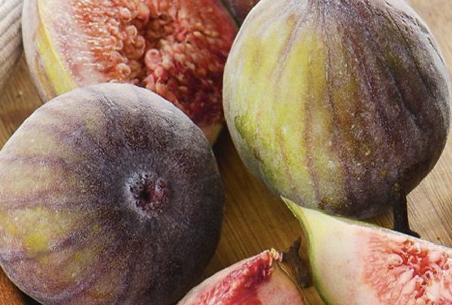 Fíkovník smokvoň 'Francuesco' - Ficus carica 'Francuesco'