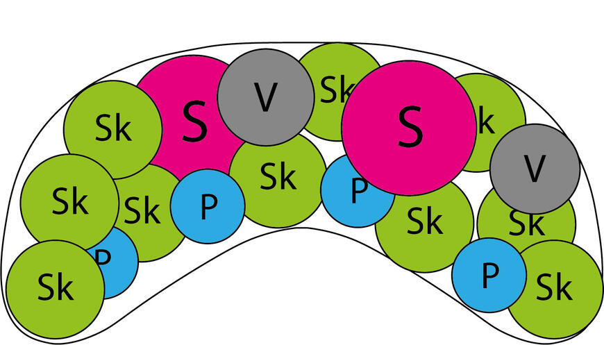 nepravidelný záhon