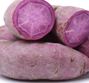 Povíjnice batátová 'Erato Violet' - Ipomoea batatas 'Erato Violet'