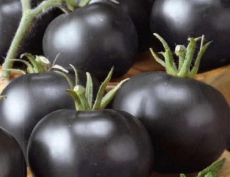 Rajče tyčkové 'Blackball' - Lycopersicon esculentum 'Blackball'