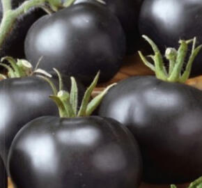 Rajče tyčkové 'Blackball'