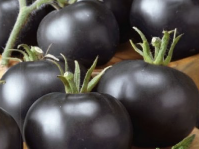 Rajče tyčkové 'Blackball' - Lycopersicon esculentum 'Blackball'