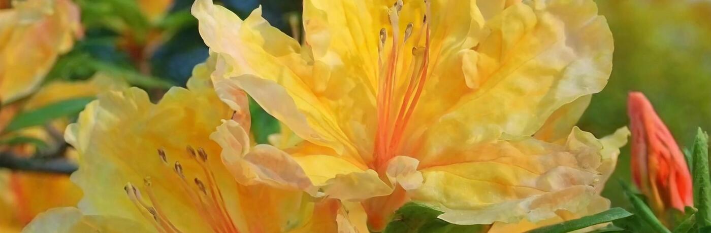 novinky v sortiemtu 2024