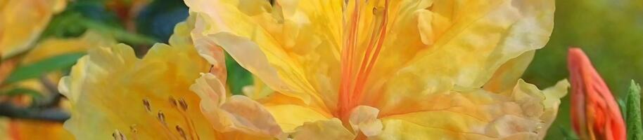 novinky v sortiemtu 2024