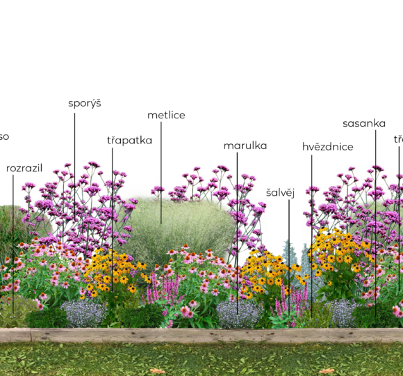 Trvalkové záhony | Zahradnictví FLOS