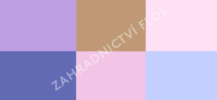 Trvalkový záhon na slunce Pastva pro včely - Pastva pro včely