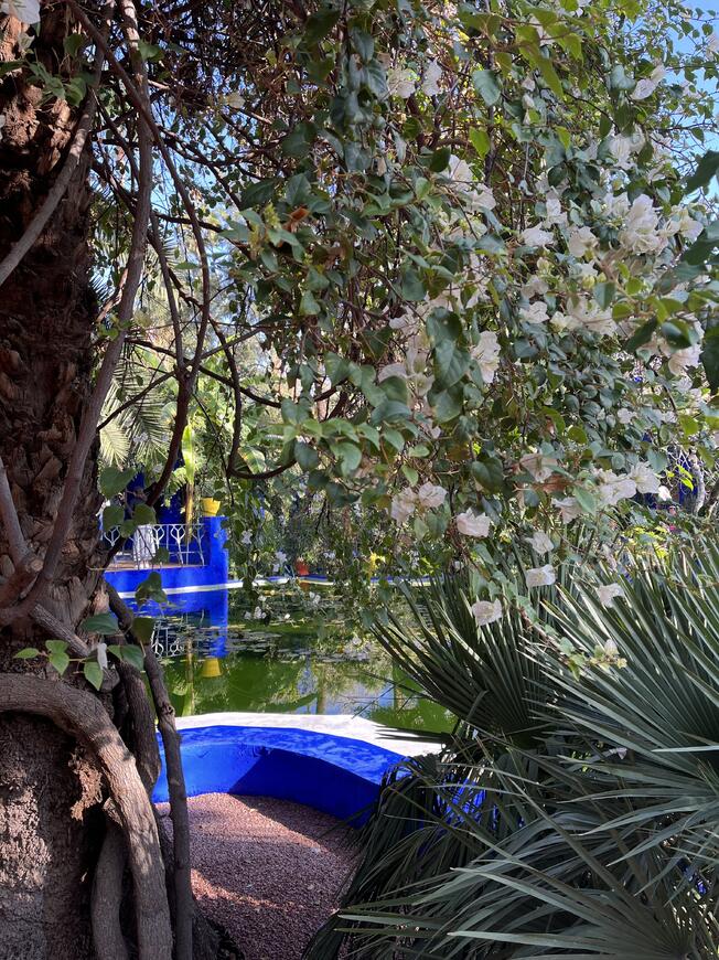 Jardin Majorelle