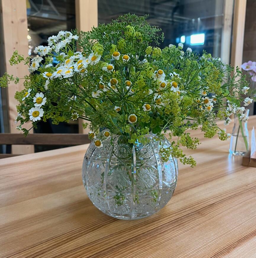 kytice s kopretinami