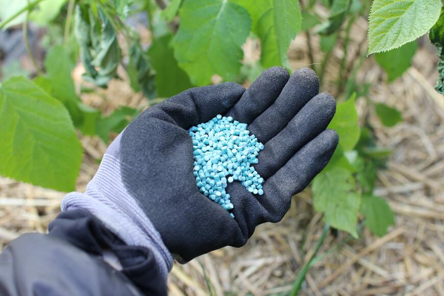 granule proti slimákům