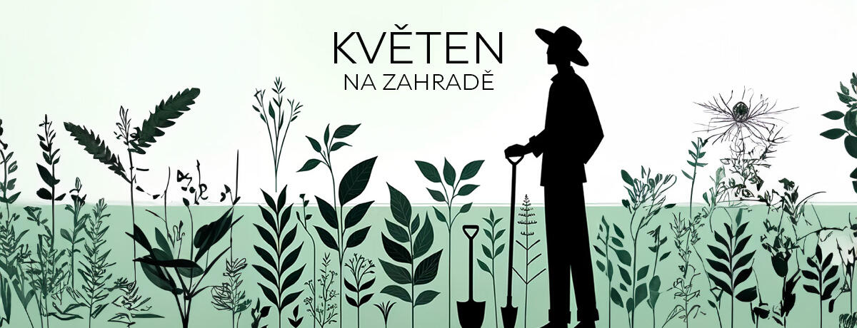 baner do newsletteru KVĚTEN
